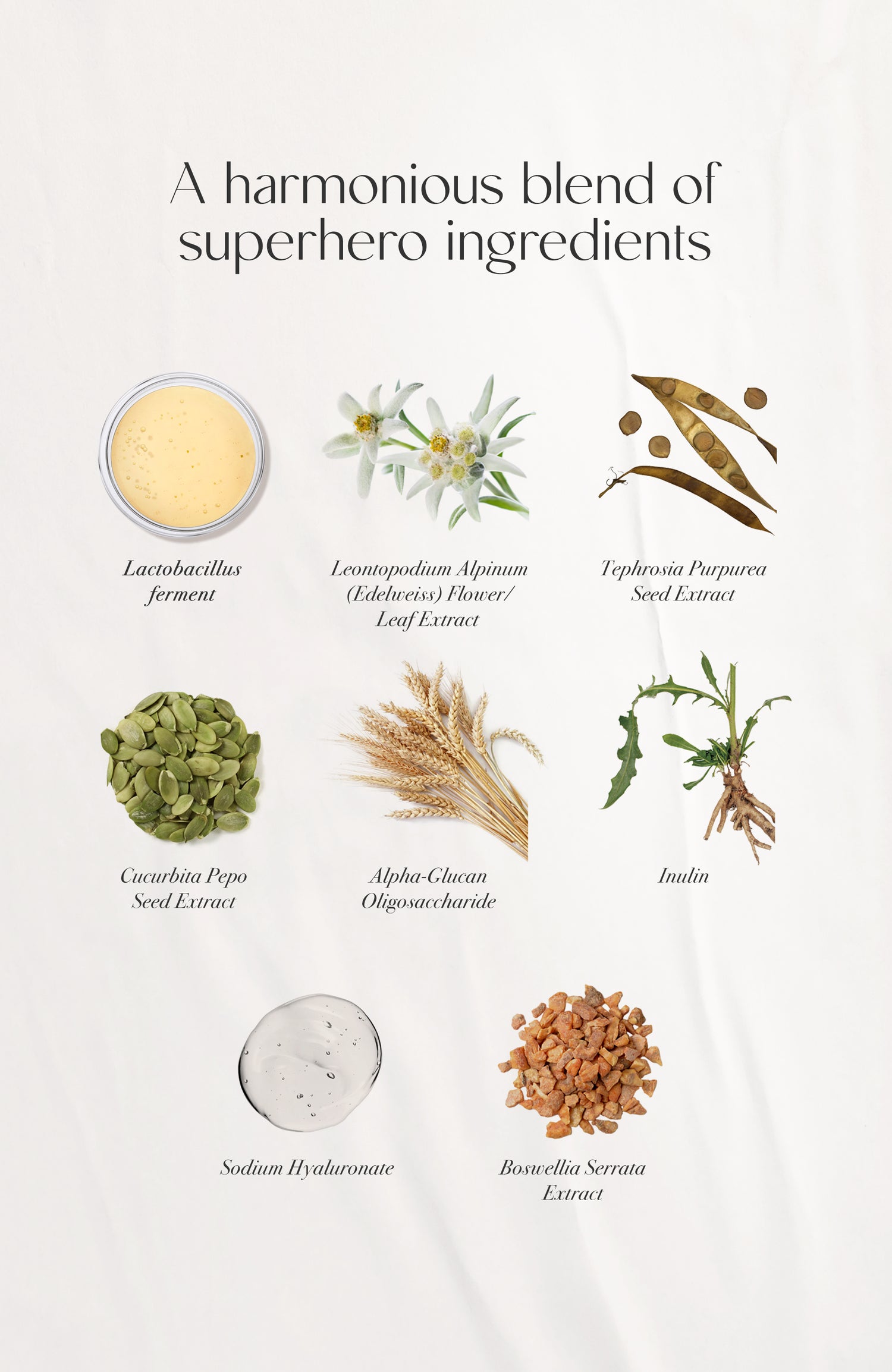 Baby Buddha Calming Serum