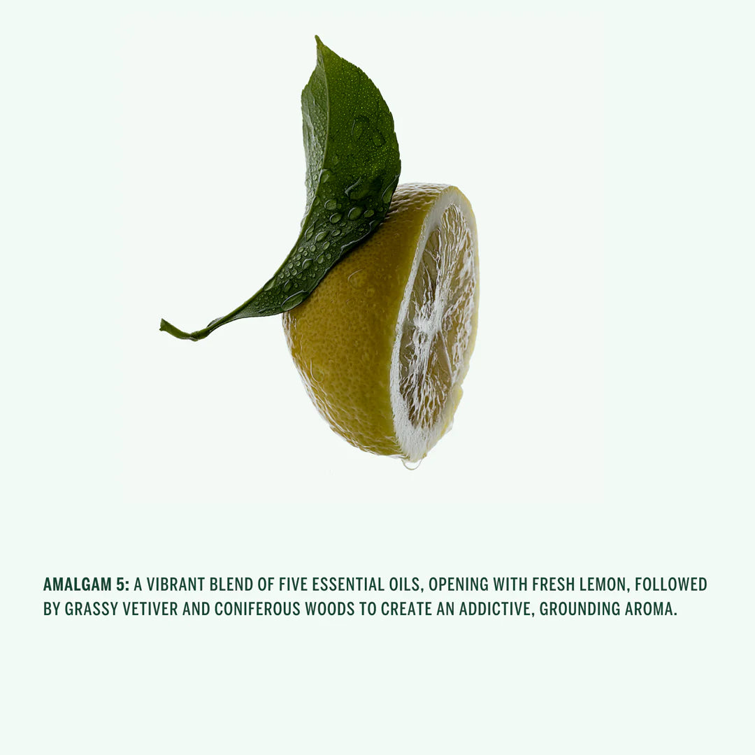 Hand Cream Amalgam 5