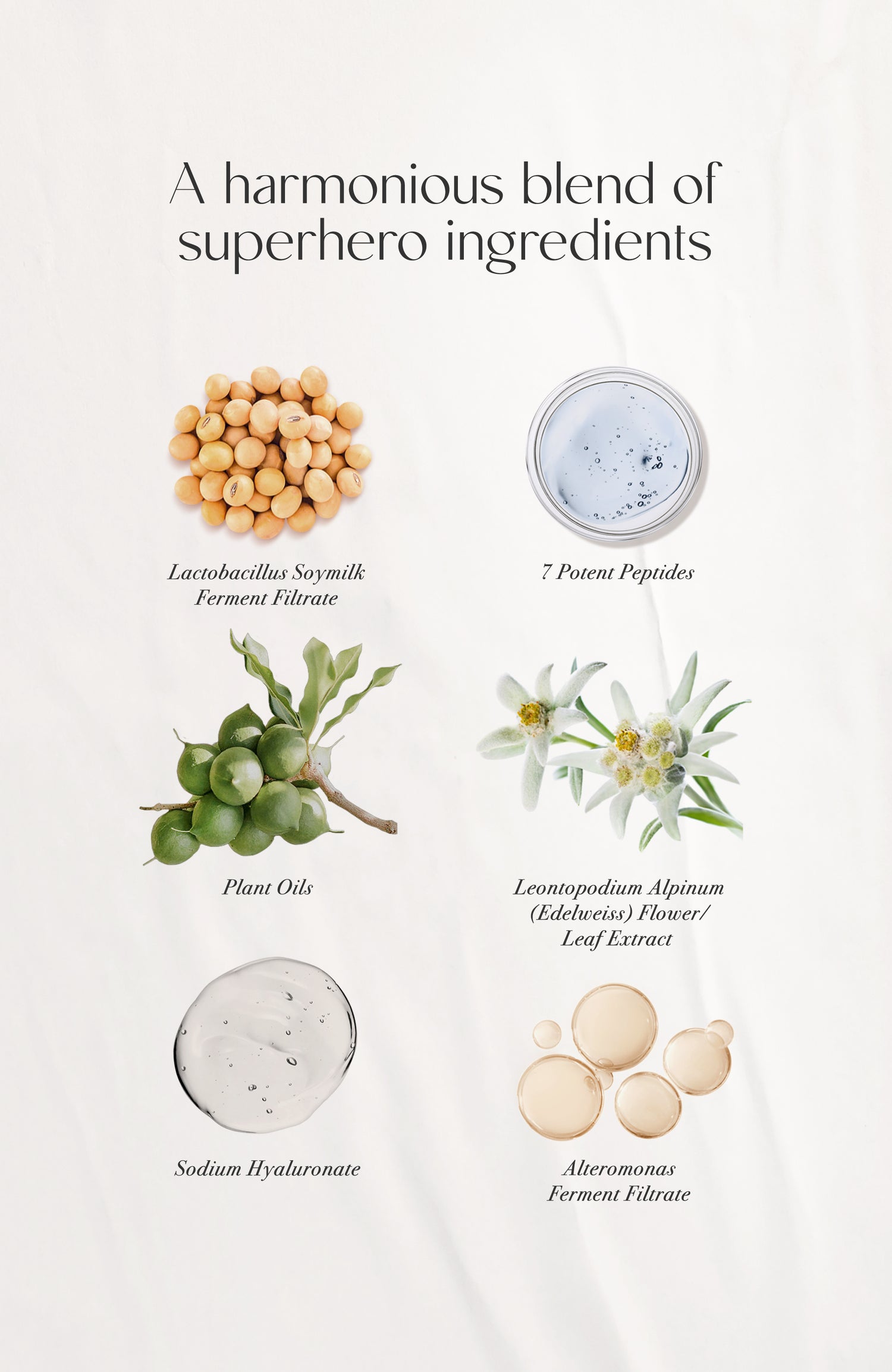Holy Cream Diamond Moisturizer